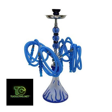 Glass Bong with 4 tubes WP-006