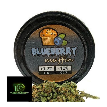 Blueberry Muffin 3,5 gr Prot-eco