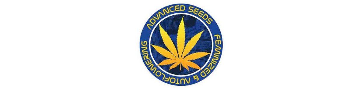 graines Advanced Seeds féminisées pour culture du cannabis