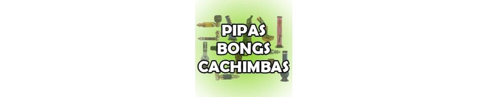 Catalogue de pipes, bongs et chichas