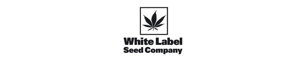 Semillas White Label en formato Regular
