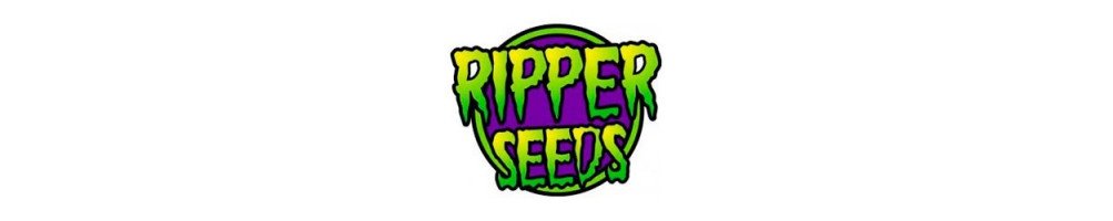 Graines féminisées Ripper Seeds pour culture du cannabis