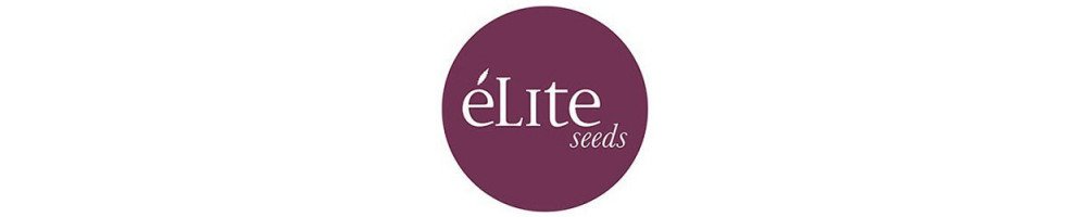 Graines d’Elite Seeds féminisées pour culture du cannabis