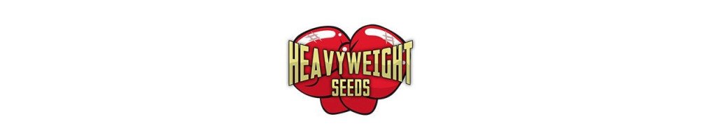 Semillas HeavyWeight Seeds Autoflorecientes
