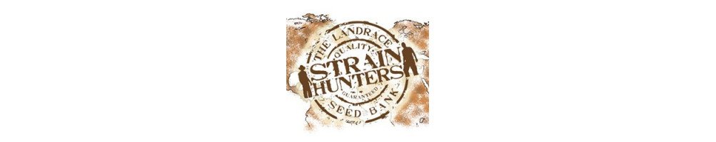 Strain Hunters Seed Banks The Landrace