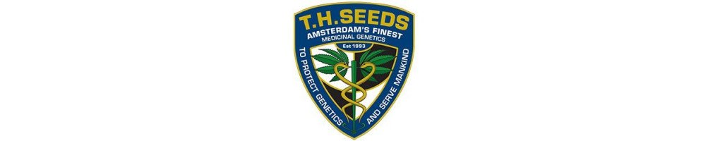 Graines T.H.Seeds féminisées pour la culture du cannabis