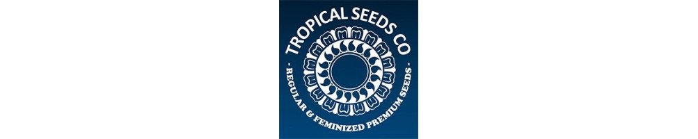 Tropical Seeds Co. graines régulières