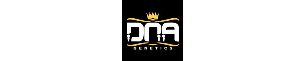 DNA Genetics Auto Autoflowering Seeds