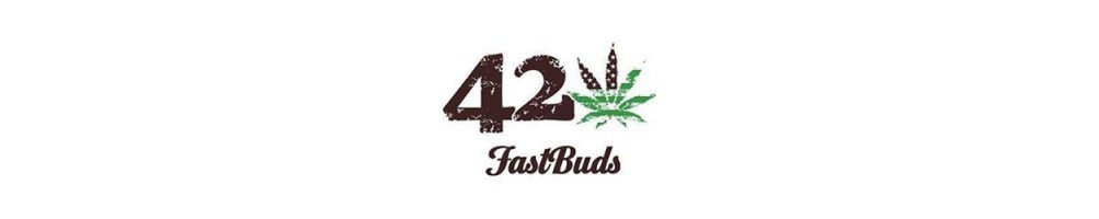 Graines Fast Buds American Autoflowers automatiques