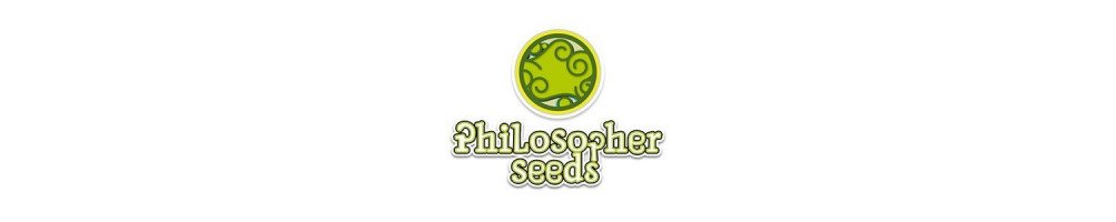 Philosopher Seeds Régulières