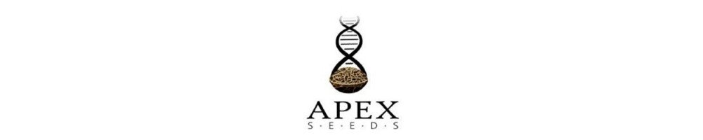 Apex Seeds - Fem Autoflowering Seeds